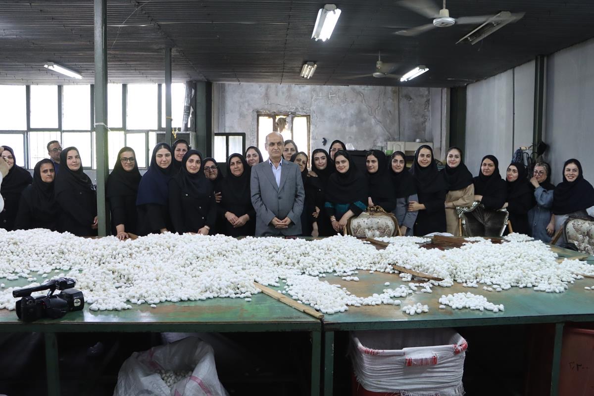 احیای شرکت صنایع ابریشم صومعه سرا با مشارکت شرکت سرمایه گذاری کمیته امداد