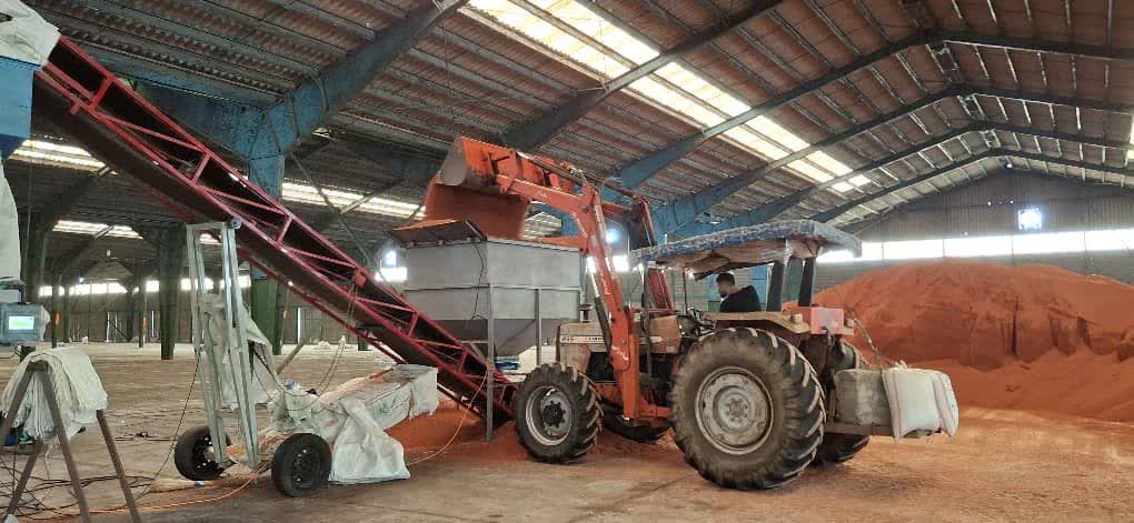 میزان بهرهمندی شالیکاران استان گیلان از توزیع کود یارانهای