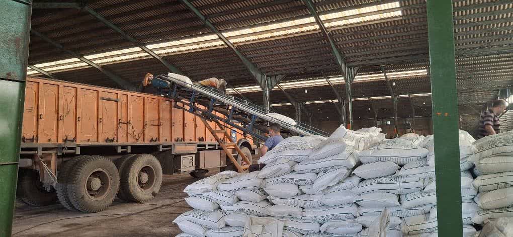 توزیع بیش از ۲ هزار و ۵۴۹ تن کود یارانه ای دولتی در باغات چای گیلان