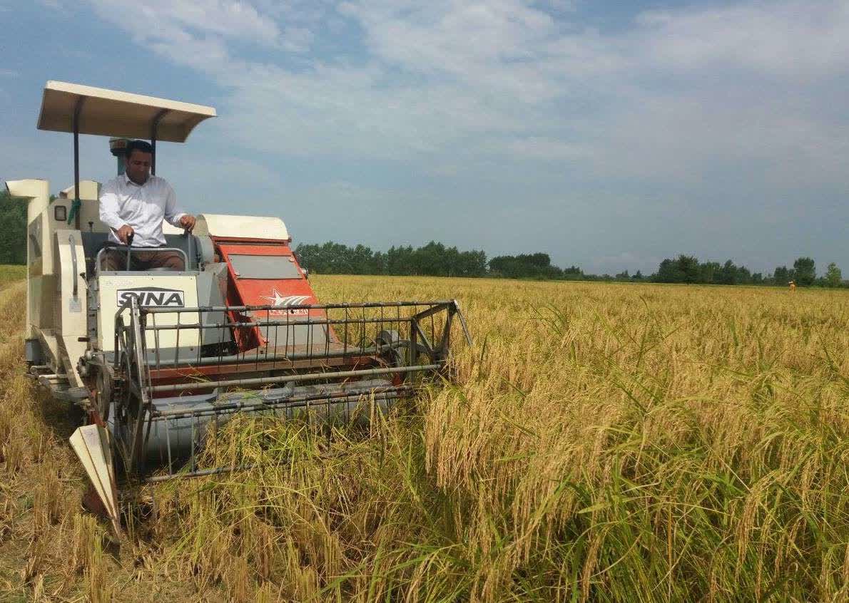 معاینه فنی کمباینها در گیلان آغاز شد